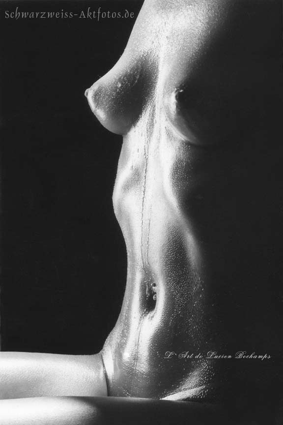 L`art de Lucien Bechamps |aktfotoserien/201601_Wittney-Scans/ | cone-tits-and-abs-736 | www.figuremodel.de