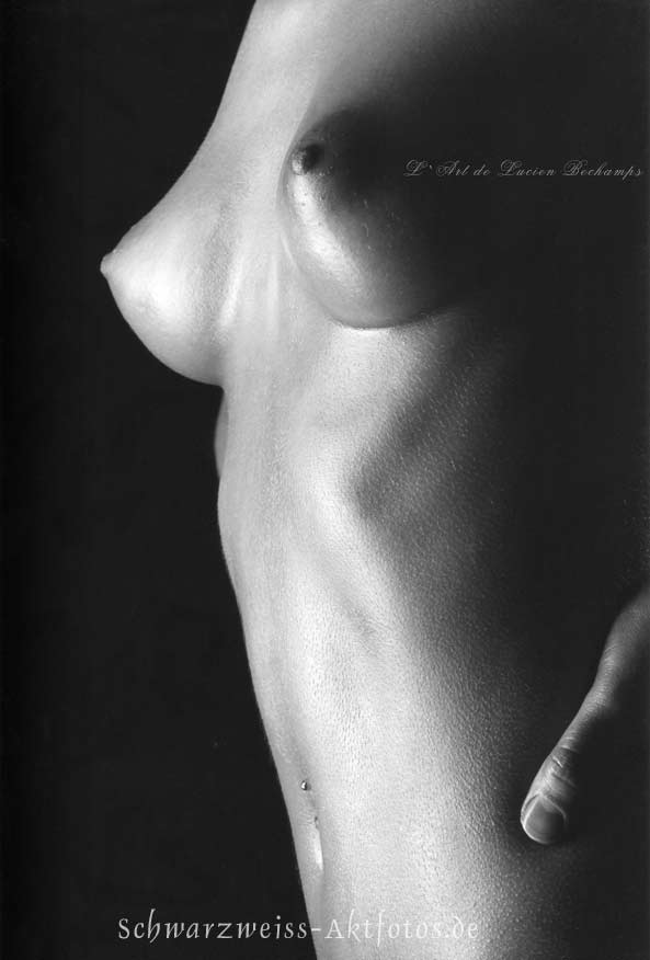 L`art de Lucien Bechamps | 201601 Wittney-Scans | small-cone-breasts-829 | figuremodel.de