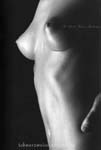 previous: small-cone-breasts-829