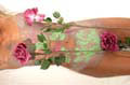 klick for Gallery