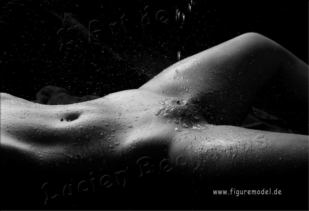L`art de Lucien Bechamps |poster/body-details/ | Piercing-splash | www.figuremodel.de