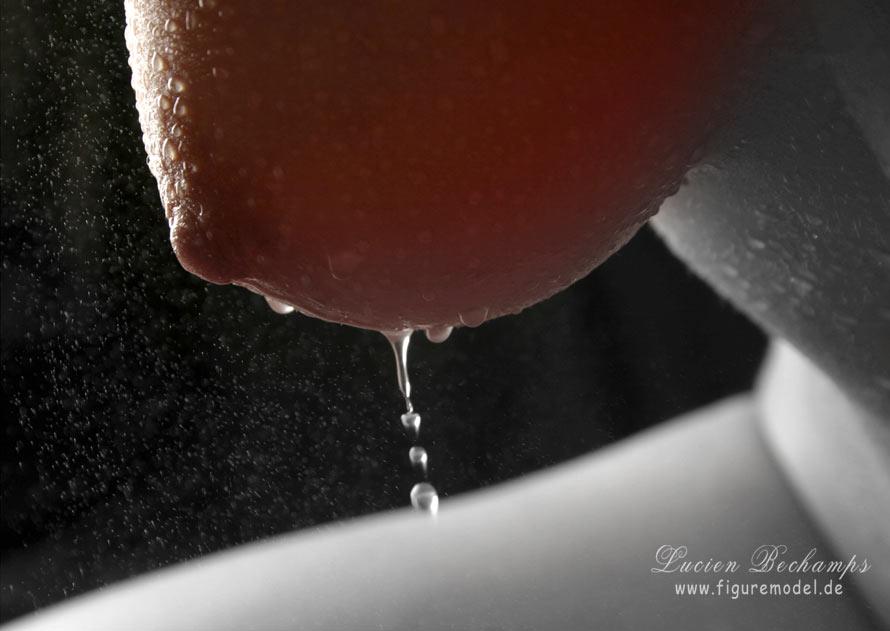 L`art de Lucien Bechamps |poster/body-details/ | perfekt-breast-dripwater | www.figuremodel.de