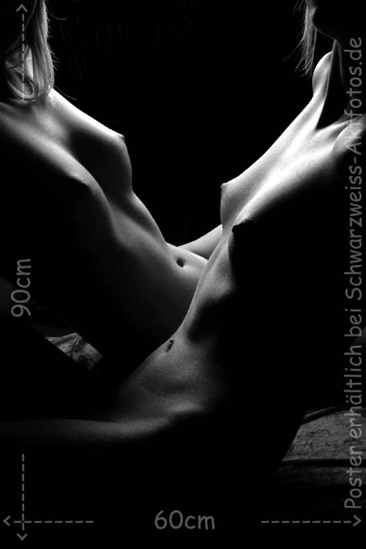 L`art de Lucien Bechamps |poster/girl-girl/ | 2bare-girls | www.figuremodel.de