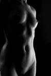 voir Wet-Torso353