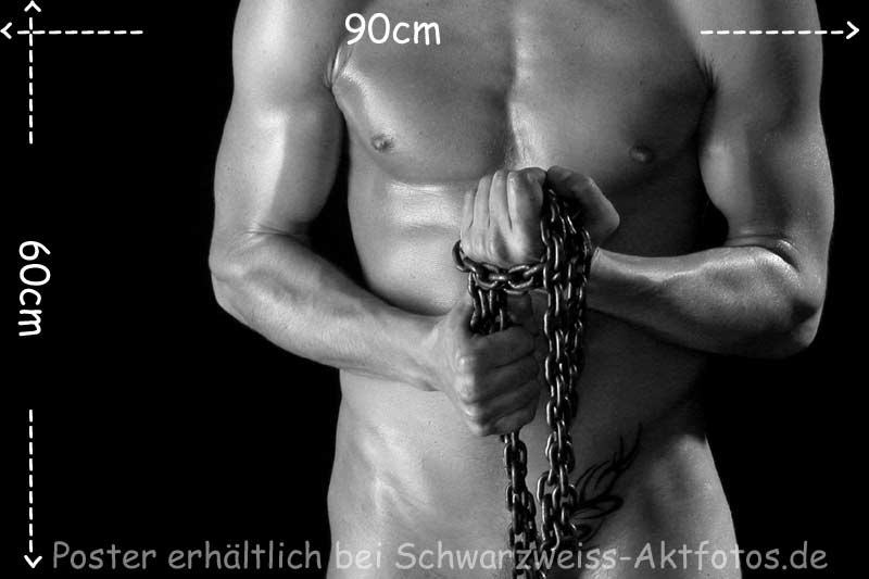 L`art de Lucien Bechamps |poster/maskulin/ | Chain_14433 | www.figuremodel.de