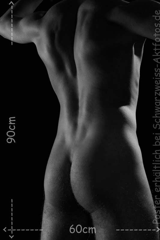 L`art de Lucien Bechamps |poster/maskulin/ | Man_back | www.figuremodel.de