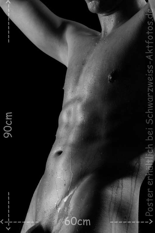 L`art de Lucien Bechamps |poster/maskulin/ | boy7731 | www.figuremodel.de