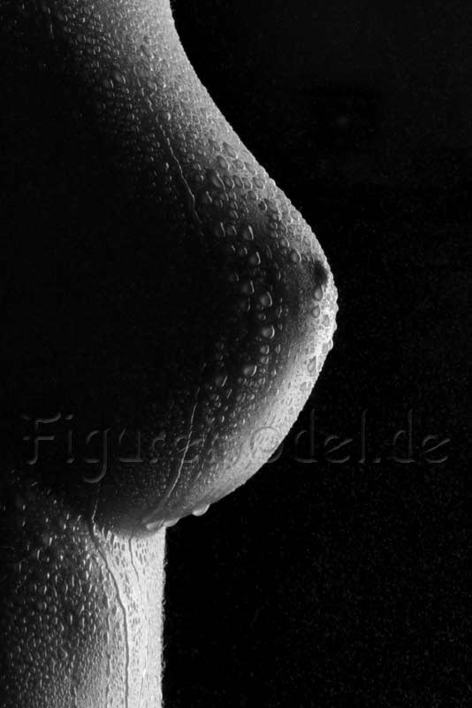 L`art de Lucien Bechamps |poster/normaler_busen/ | right-breast377 | www.figuremodel.de