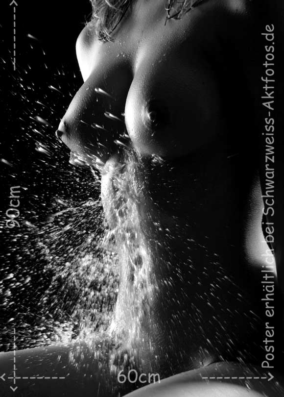 L`art de Lucien Bechamps |poster/normaler_busen/ | splash_3 | www.figuremodel.de
