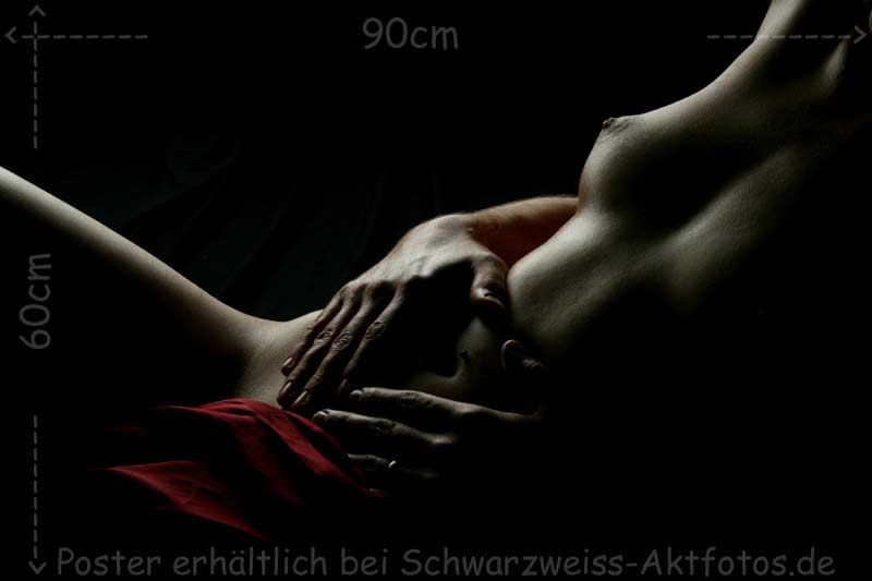 L`art de Lucien Bechamps |poster/schlanker_bauch/ | M-Hande_W-Bauch | www.figuremodel.de